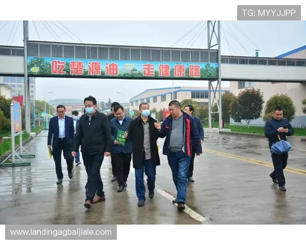 DB真人旗舰·集团运营管理经验：提升平台稳定性与盈利能力的实用技巧